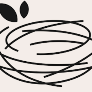 Raven's Nest Logo